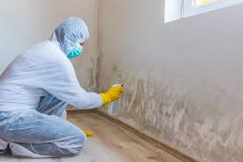 Best Real Estate Mold Inspection  in Vail, AZ