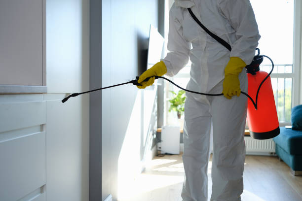 Best Mold Remediation for Healthcare Facilities  in Vail, AZ